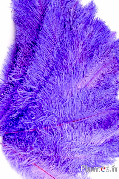 Autruche - 30-40 cm - lilas